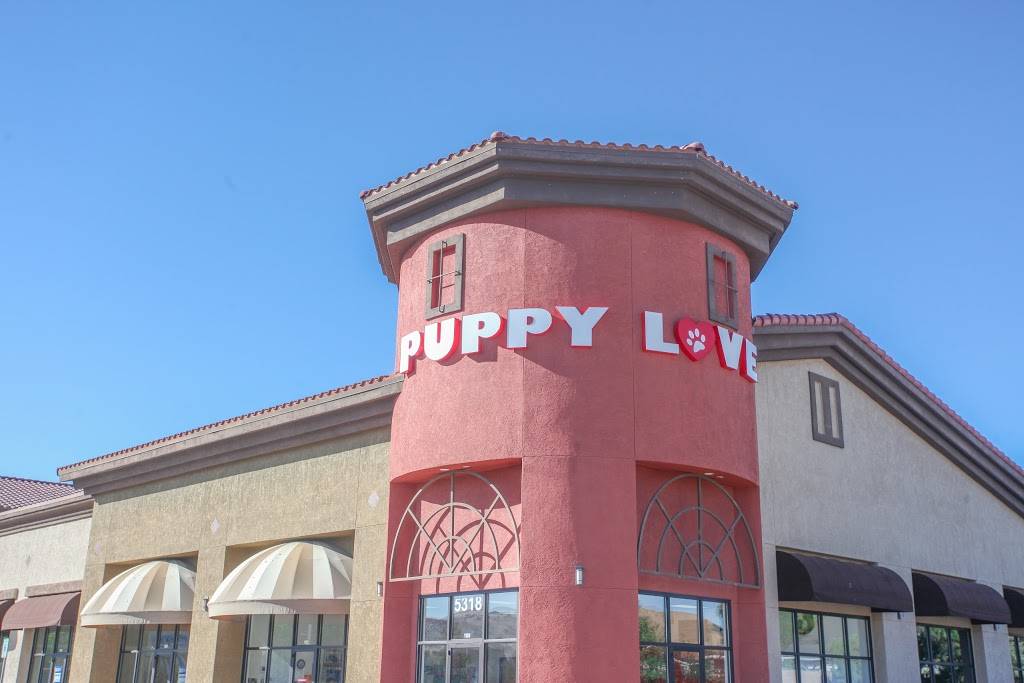 Puppy Love | 5318 Sparks Blvd #100, Sparks, NV 89436, USA | Phone: (775) 470-8141