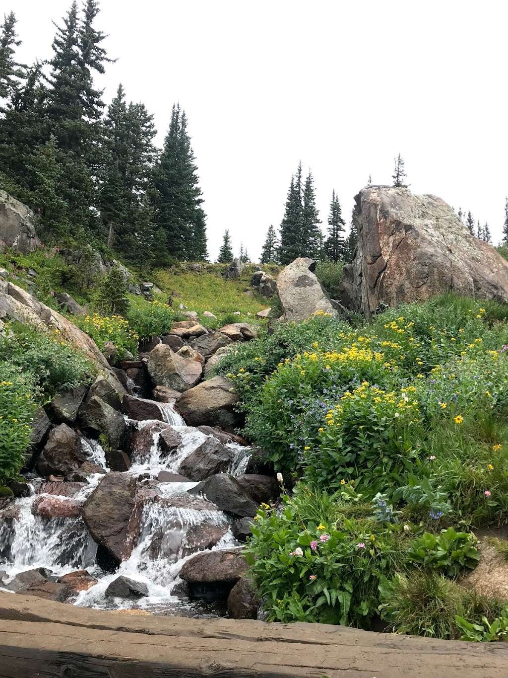 Isabelle Glacier Trail | Ward, CO 80481, USA