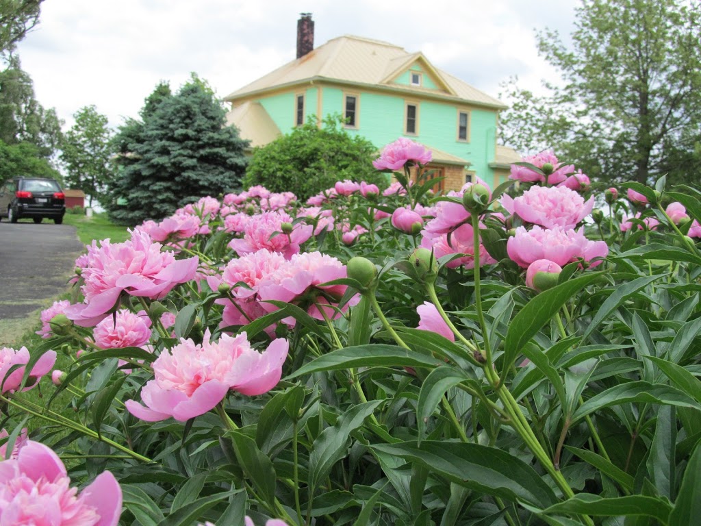 Greenhouse Bed and Breakfast | 3600 N 1700 E Rd, Kempton, IL 60946, USA | Phone: (815) 253-9020