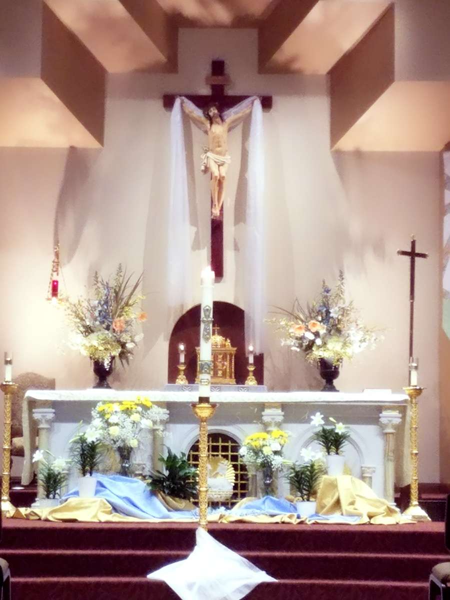Shrine of Saint Padre Pio Catholic Church | 3843 Bulverde Pkwy, San Antonio, TX 78259, USA | Phone: (210) 497-6101