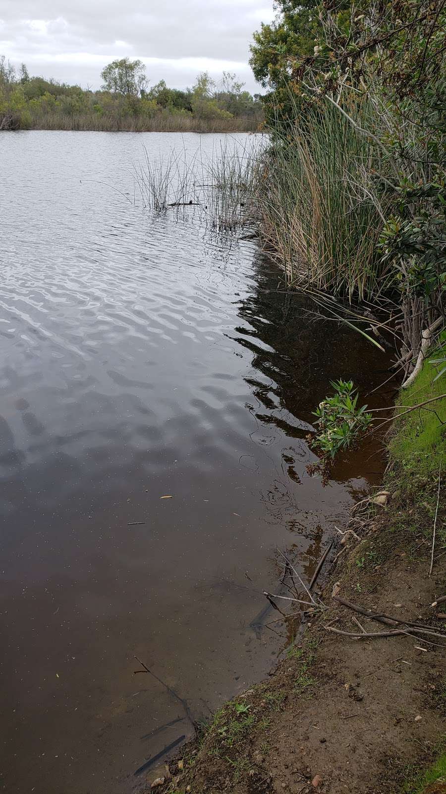Fenton Pond | San Diego, CA 92154, USA | Phone: (619) 424-0463