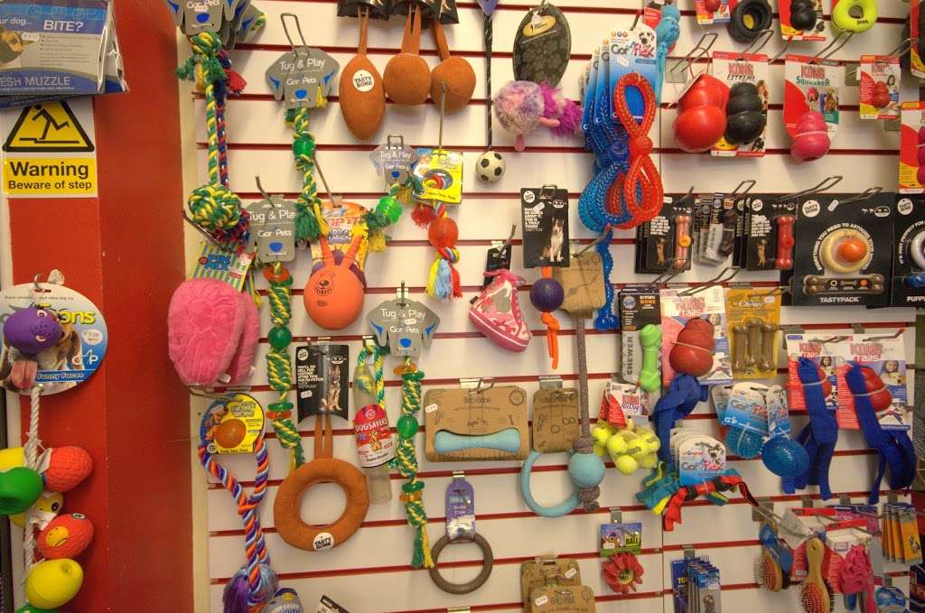 Woofs A Daisy | 36 Coombe Rd, Kingston upon Thames KT2 7AG, UK | Phone: 020 8549 3469