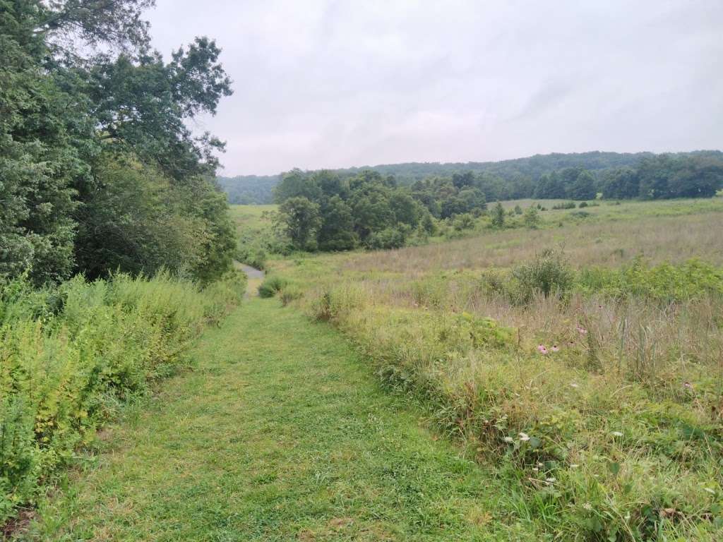 Griggstown Native Grassland Preserve | Princeton, NJ 08540