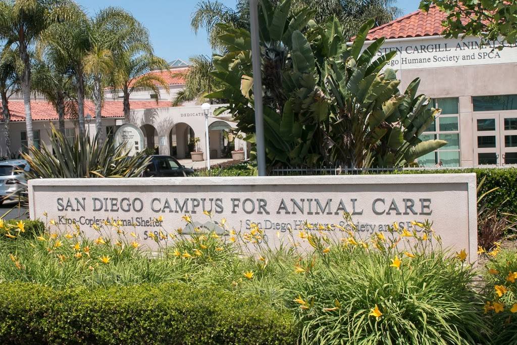 San Diego Humane Society | 5500 Gaines St, San Diego, CA 92110 | Phone: (619) 299-7012