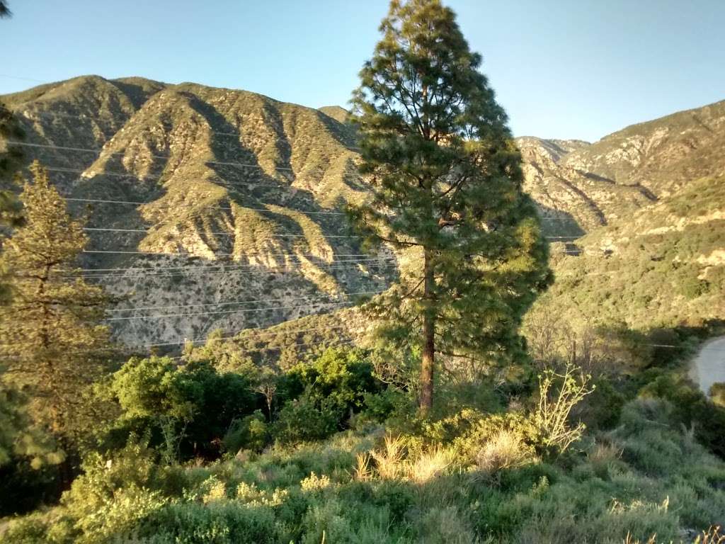 Brown Mountain Truck Trail, Altadena, CA 91001 | Brown Mountain Truck Trail, Altadena, CA 91001