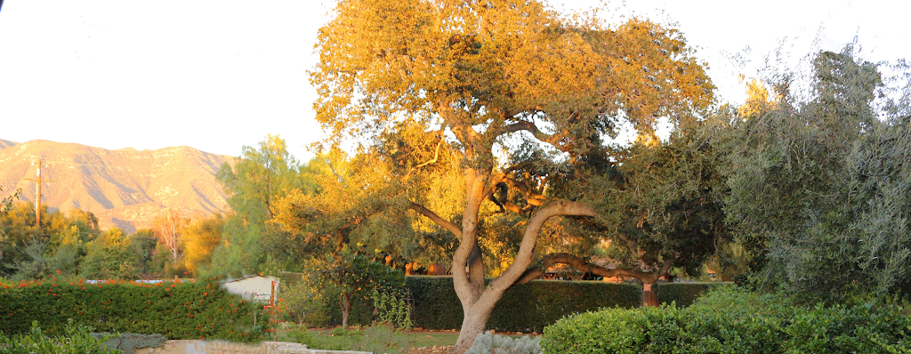 Full Circle Family Health Inc, Deborah Maragopoulos MN FNP | 222 Sierra Rd, Ojai, CA 93023, USA | Phone: (805) 640-3340