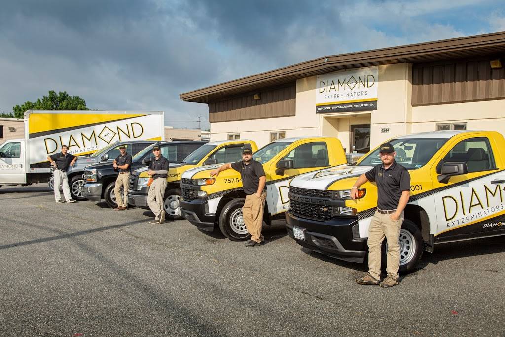 Diamond Exterminators | 4544 Bainbridge Blvd, Chesapeake, VA 23320, USA | Phone: (757) 545-2001