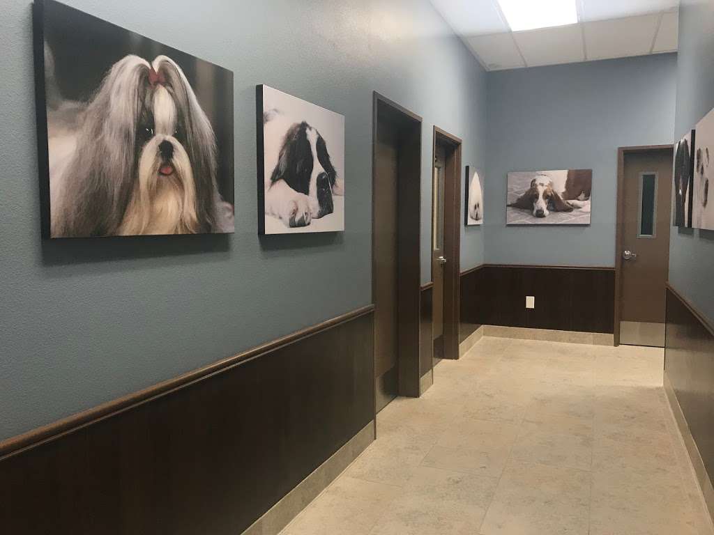 Cadence Animal Hospital | 1190 E Sunset Rd, Henderson, NV 89011, USA | Phone: (702) 485-5200