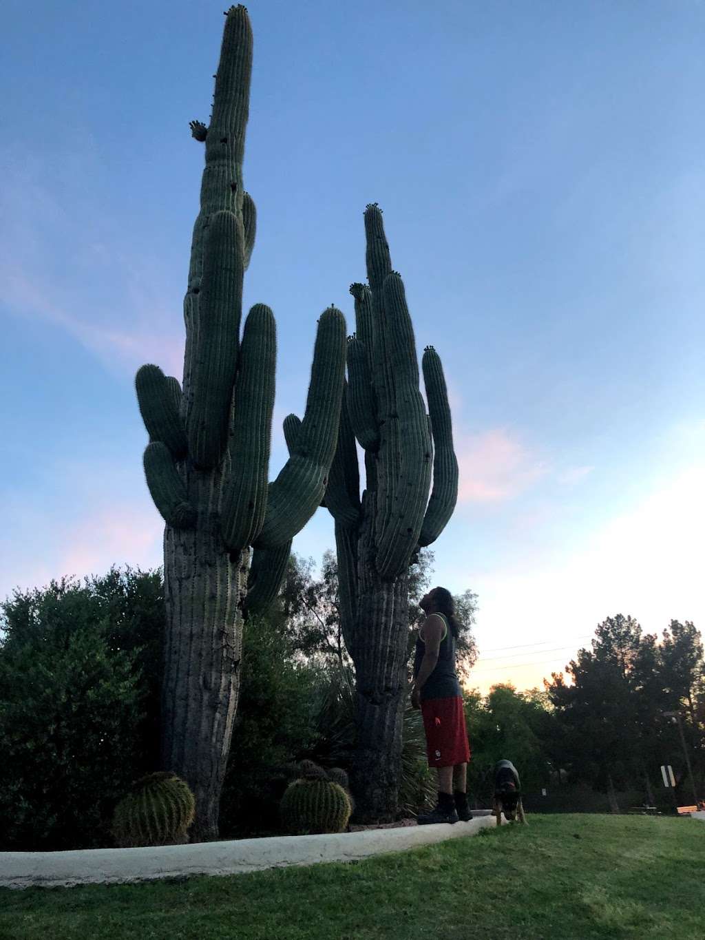 Cactus Park | 7202 E Cactus Rd, Scottsdale, AZ 85260, USA | Phone: (480) 312-7967