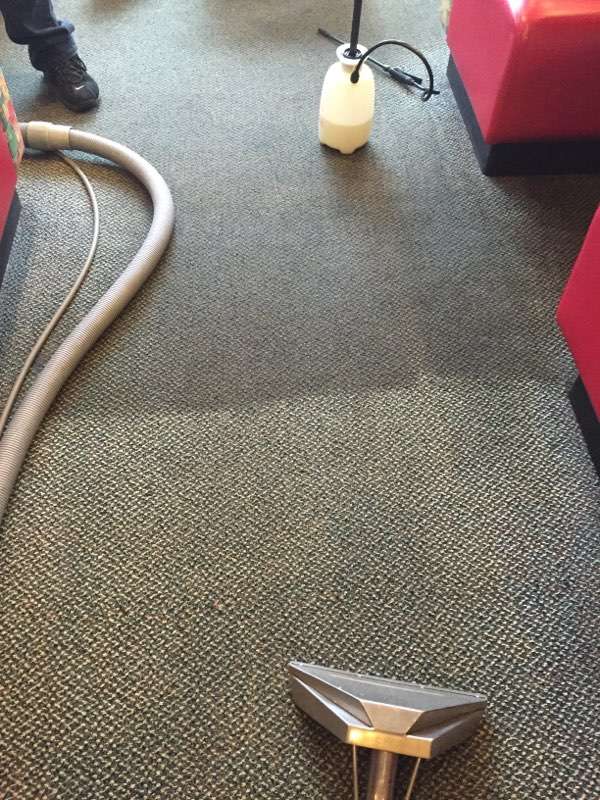 Ms. Carpet Clean | Carpet Cleaning Massachusetts | 30 Summit Rd, Saugus, MA 01906, USA | Phone: (781) 233-5800