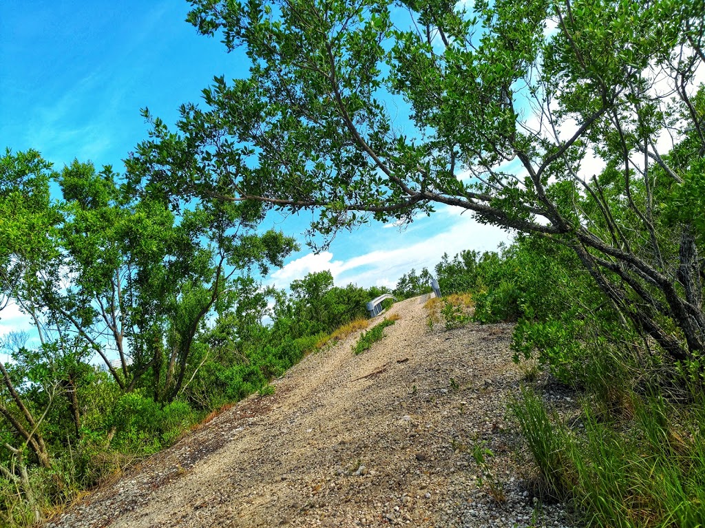 West Lake South Trail | Unnamed Road, Hollywood, FL 33019, USA