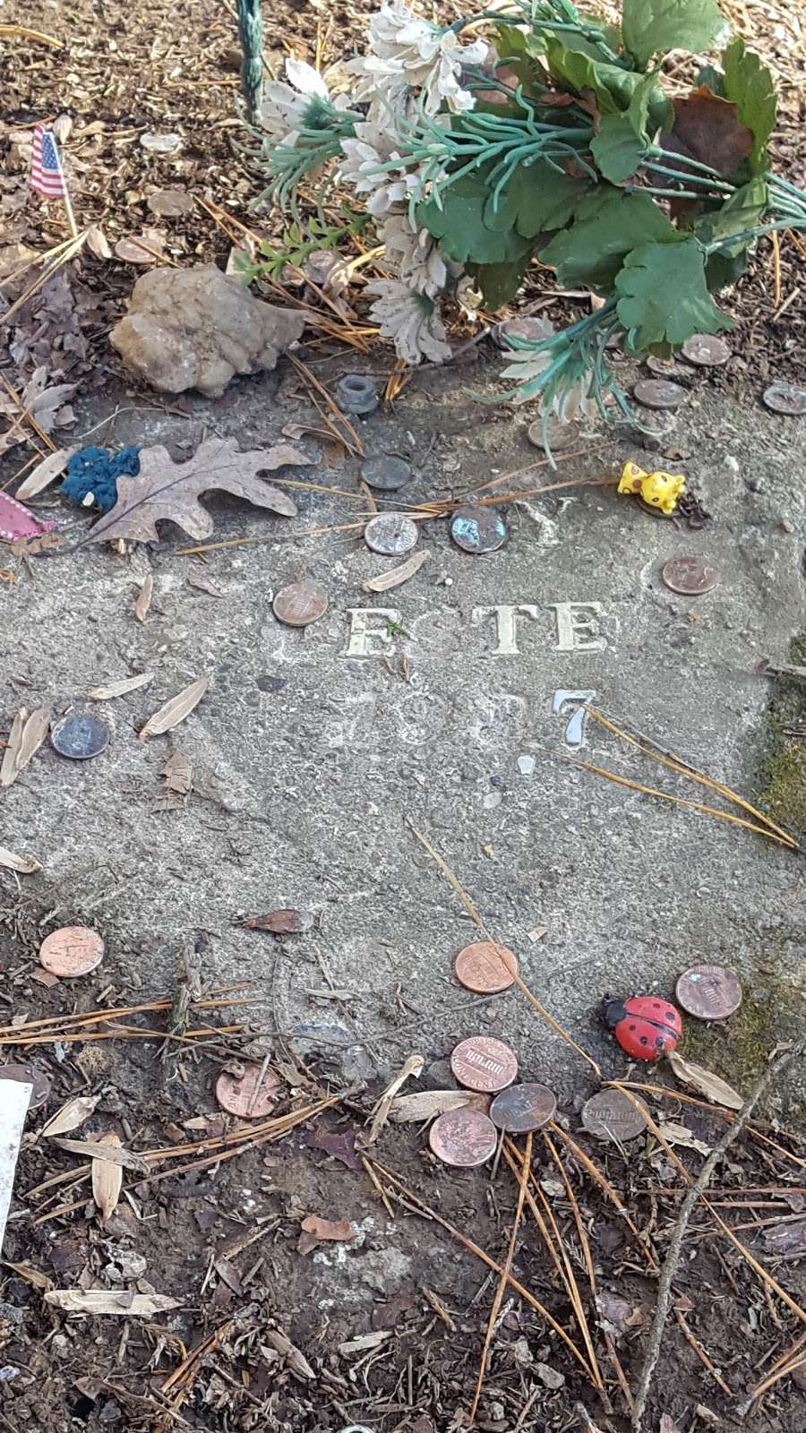 Stepp Cemetery | Martinsville, IN 46151 | Phone: (501) 987-5388