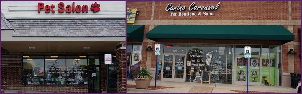 Canine Carousel | 43135 Broadlands Center Plaza #129, Ashburn, VA 20148 | Phone: (703) 687-4626