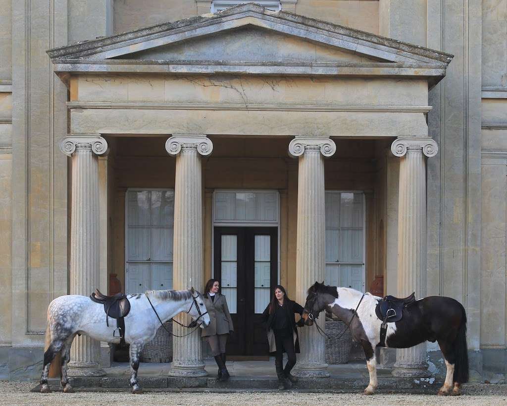 High Pointe International Equestrian Tours | 10130 Northlake Blvd Ste. 214-254, West Palm Beach, FL 33412 | Phone: (888) 494-9636