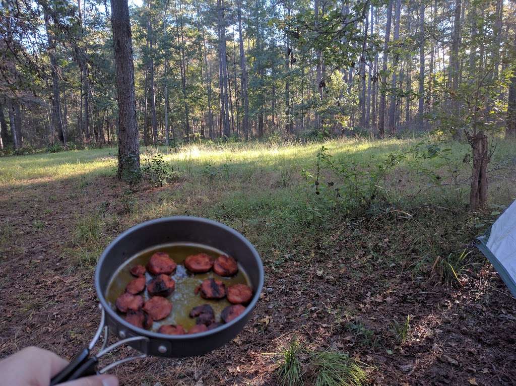 Lone Star Hiking Trail - Big Creek Primitive Campsite | Coldspring, TX 77331, USA | Phone: (936) 344-6205