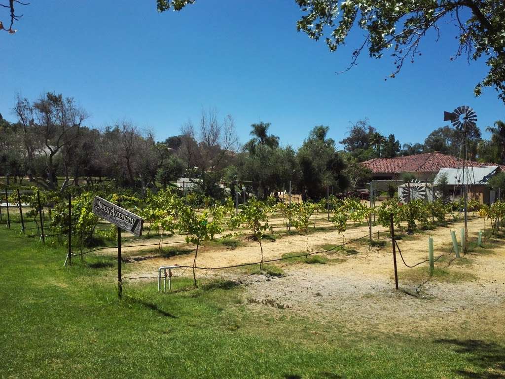 Bernardo Winery | 13330 Paseo Del Verano Norte, San Diego, CA 92128, USA | Phone: (858) 487-1866