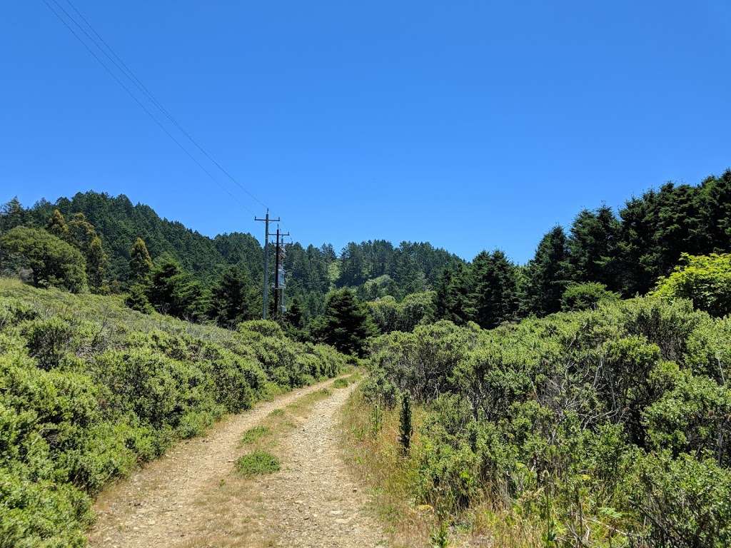 Whitegate Ranch Trailhead | Panoramic Hwy, Stinson Beach, CA 94970, USA