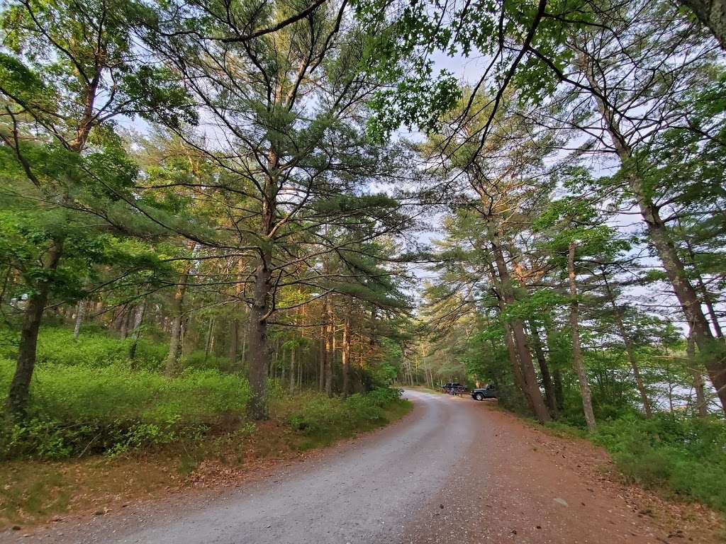 Massasoit State Park | 1361 Middleboro Ave, East Taunton, MA 02718, USA | Phone: (508) 828-4231