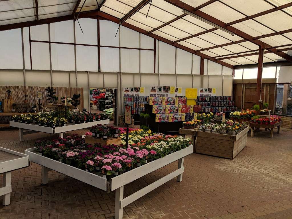 Harlow Garden Centre | Canes Ln, Hastingwood, Harlow CM17 9LD, UK | Phone: 01279 419039