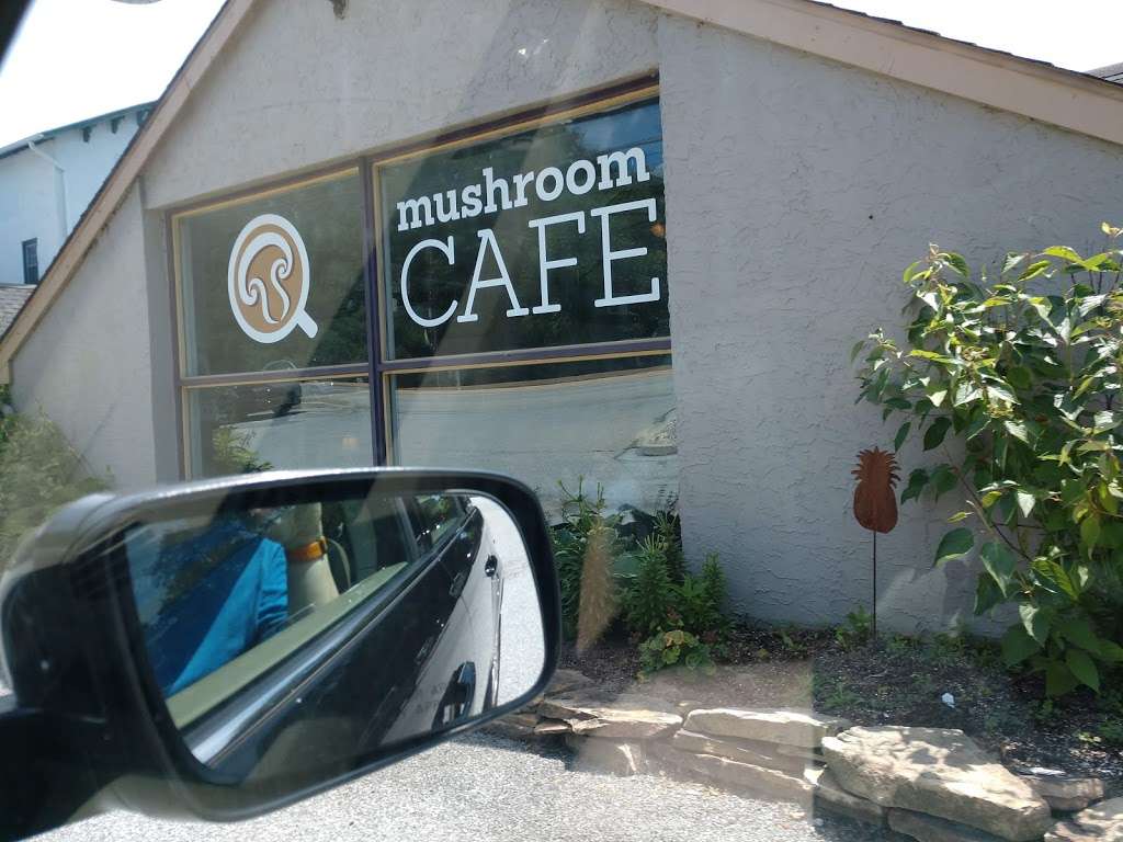 Mushrooms Cafe | 880 Baltimore Pike, Chadds Ford, PA 19317, USA | Phone: (484) 885-4556