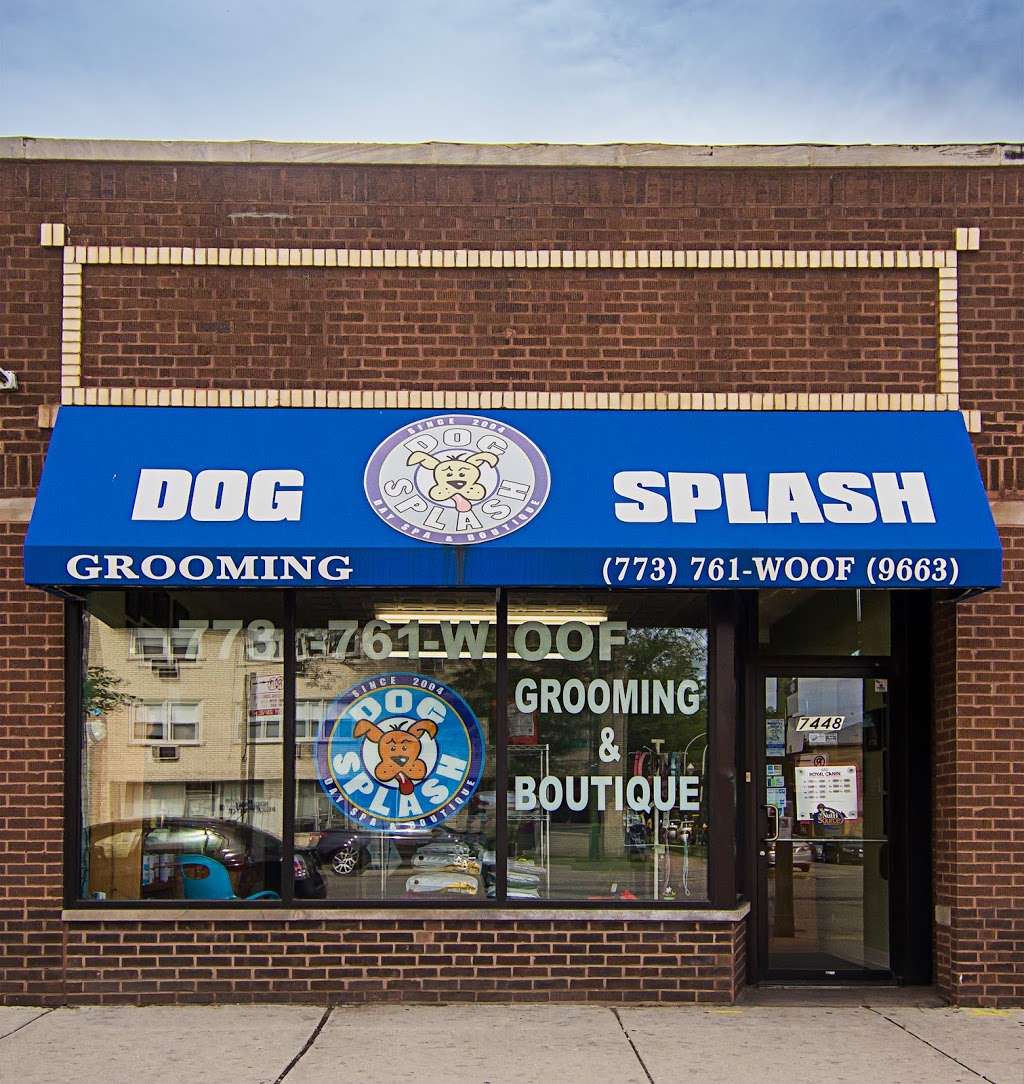 Dog Splash | 7448 N Western Ave, Chicago, IL 60645, USA | Phone: (773) 761-9663