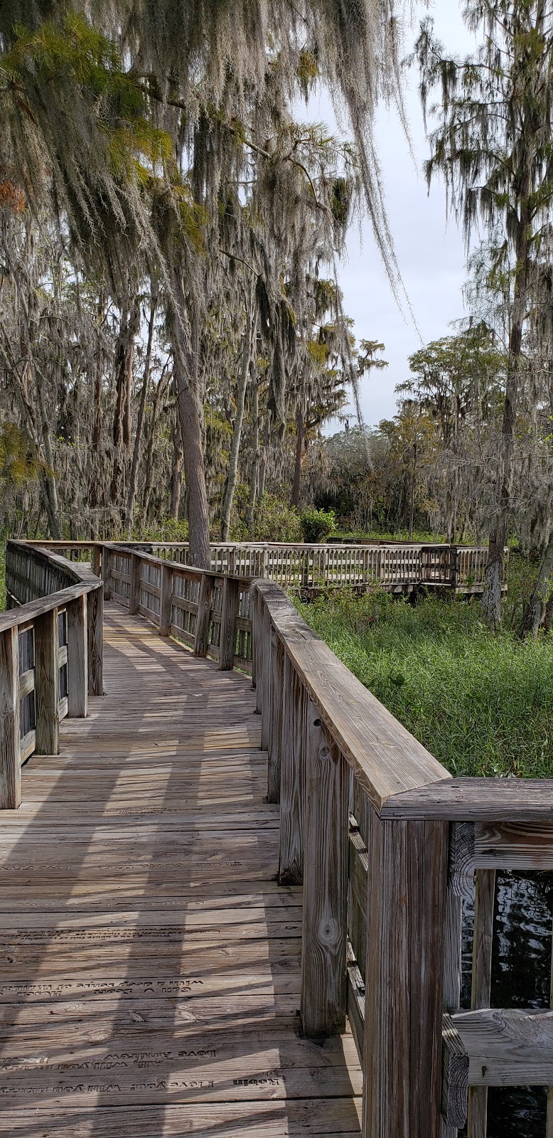 Park Palatlakaha Playground | Clermont, FL 34711, USA