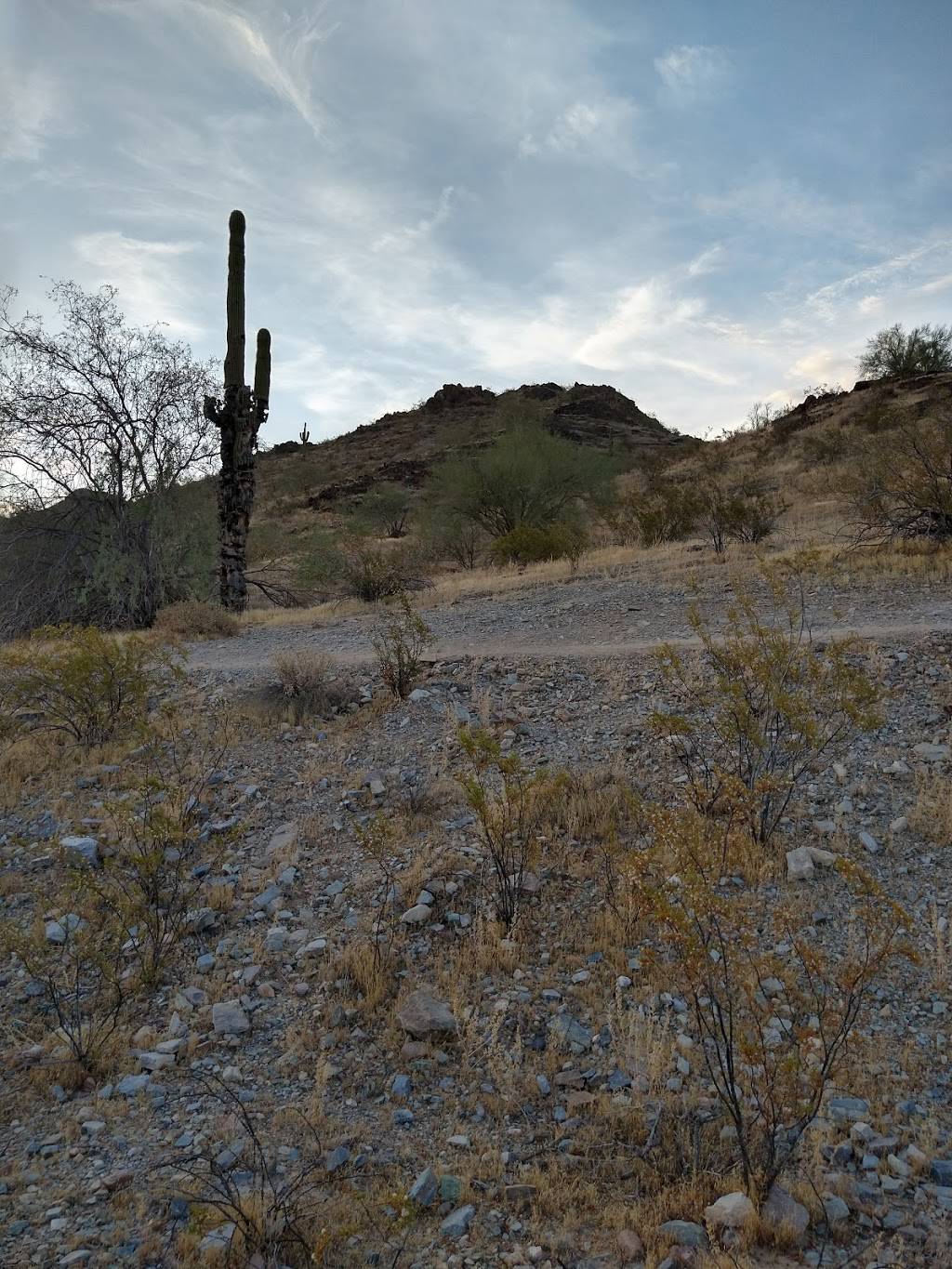 Scottsdale Nature Area | 85251, 6901 N Hayden Rd, Scottsdale, AZ 85250, USA | Phone: (480) 312-7275