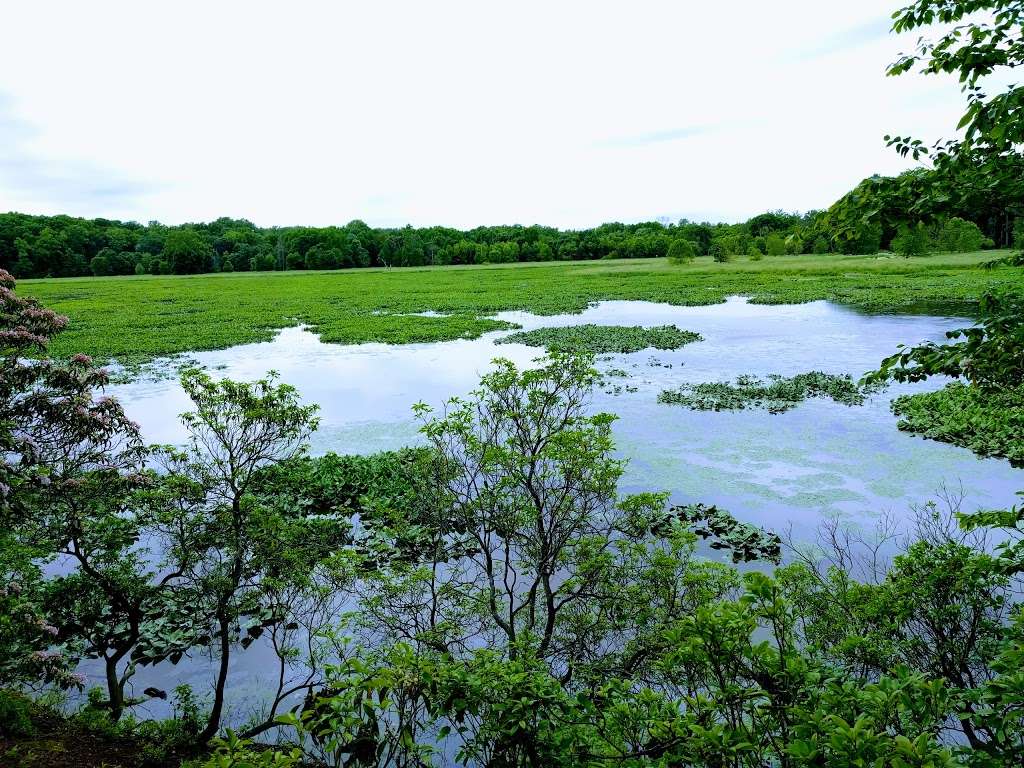 Oxbow Lake Trail | Oxbow Lake Trail, Russett, MD 20724