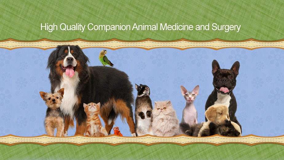 Southlake Animal Hospital PC | 3570 E Lincoln Hwy, Merrillville, IN 46410, USA | Phone: (219) 942-0909