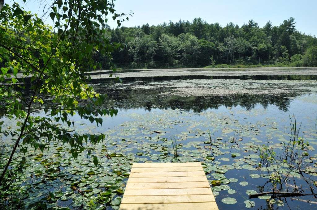 Tuxbury Pond RV Resort | 88 Whitehall Rd, South Hampton, NH 03827, USA | Phone: (603) 394-7660