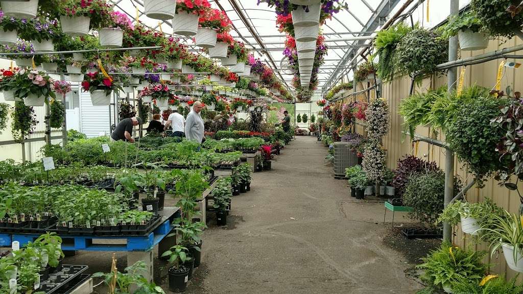 Sappers Market & Greenhouses | 5959, 1155 S Lake Park Ave, Hobart, IN 46342, USA | Phone: (219) 942-4995