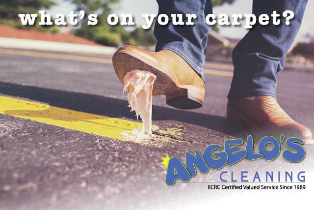 Angelos Cleaning | 1281 W King Rd, West Chester, PA 19380 | Phone: (610) 436-6666