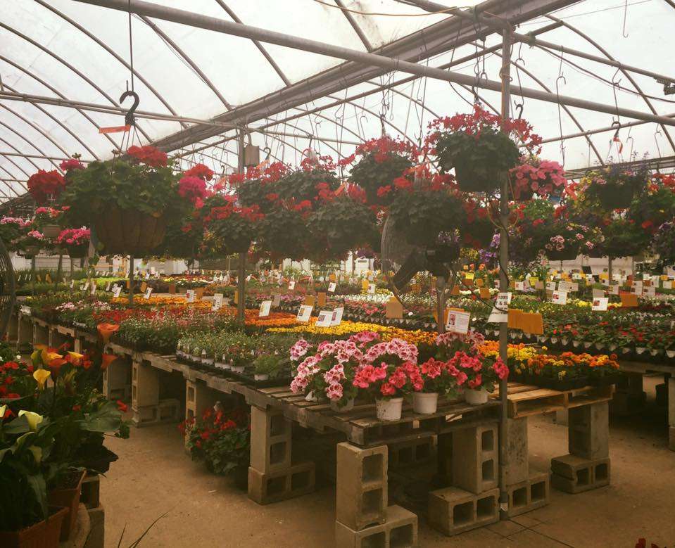 Brock Farms Home Garden World U S 9 Freehold Nj - Bios Pics