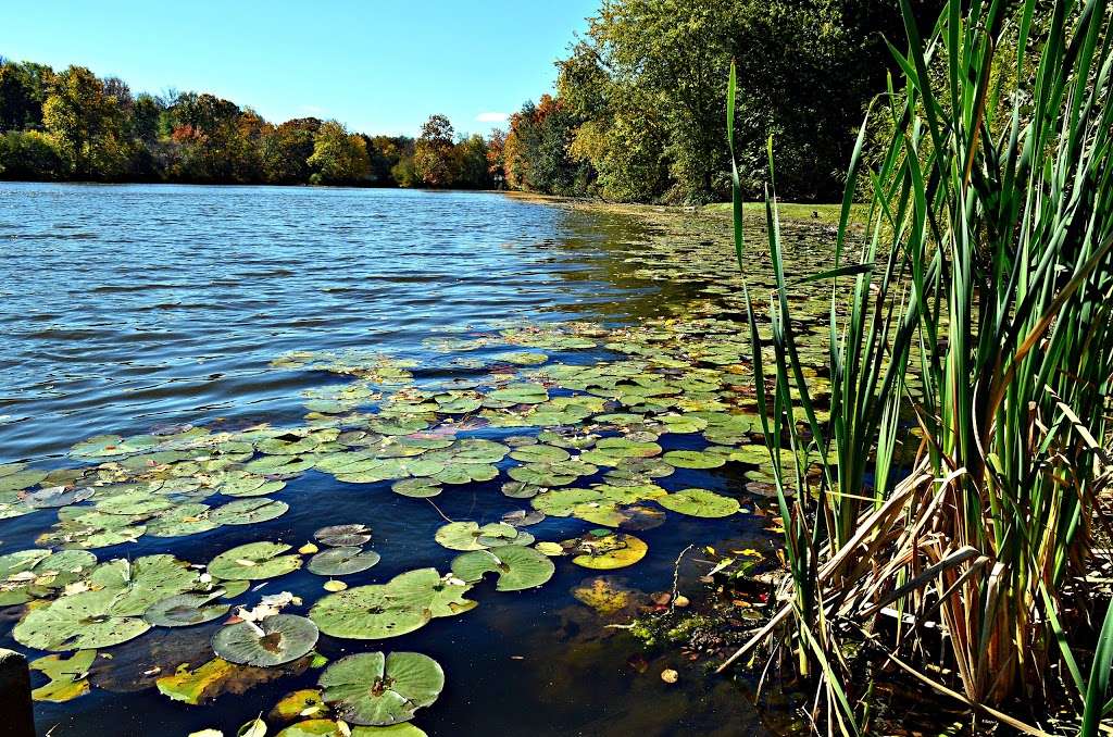 Watchung Lake | Watchung, NJ 07069