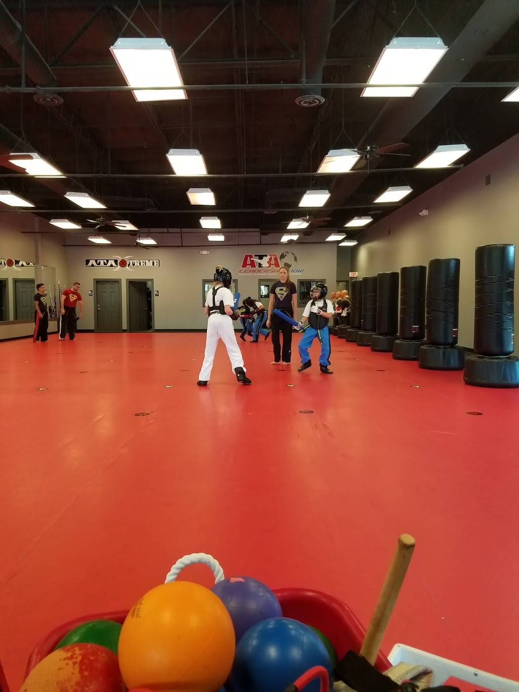 Karate for Kids | 1208 E Bethany Dr #10, Allen, TX 75002, USA | Phone: (972) 396-9336