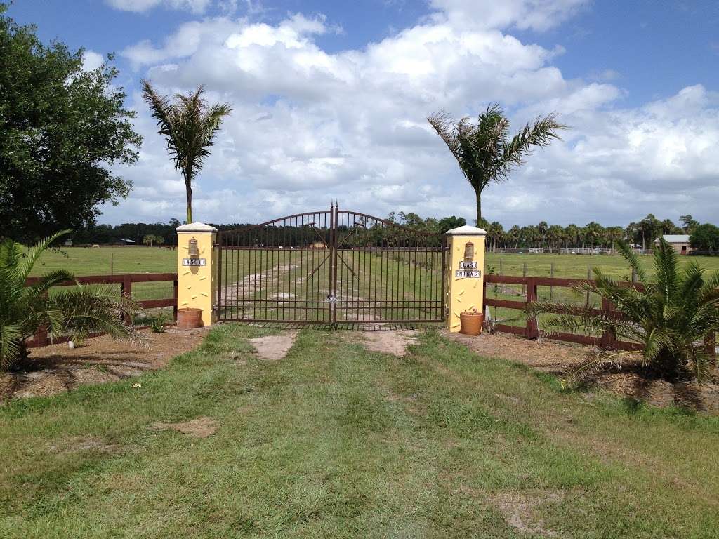 Las Minas Polo Ranch | 4501 Wild Turkey Ln, Okeechobee, FL 34974, USA