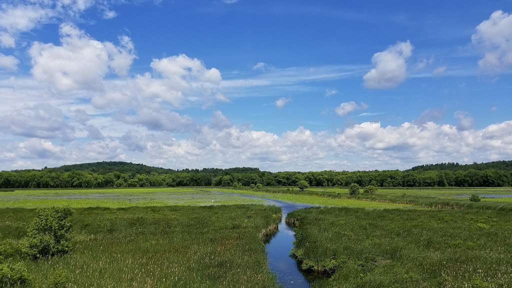 Great Meadows National Wildlife Refuge | 73 Weir Hill Rd, Sudbury, MA 01776, USA | Phone: (978) 443-4661