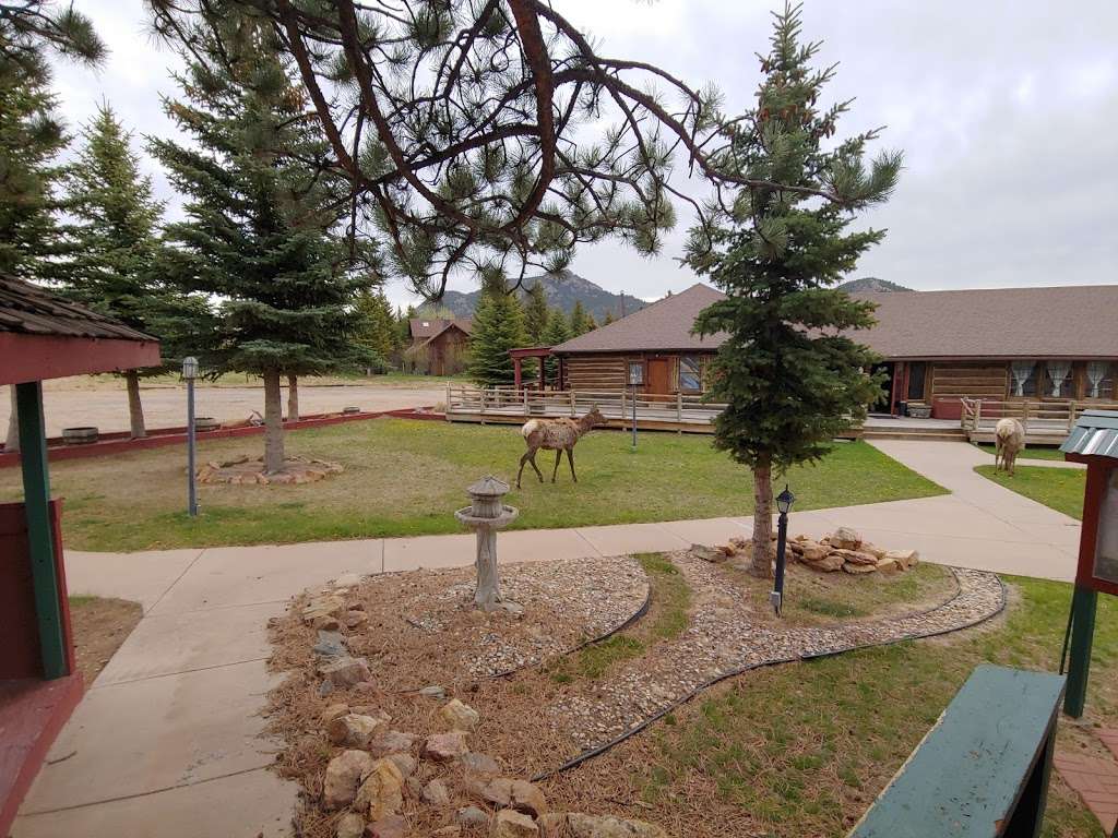 Elk Meadow Lodge and RV Resort | 1665 CO-66, Estes Park, CO 80517, USA | Phone: (970) 586-5342