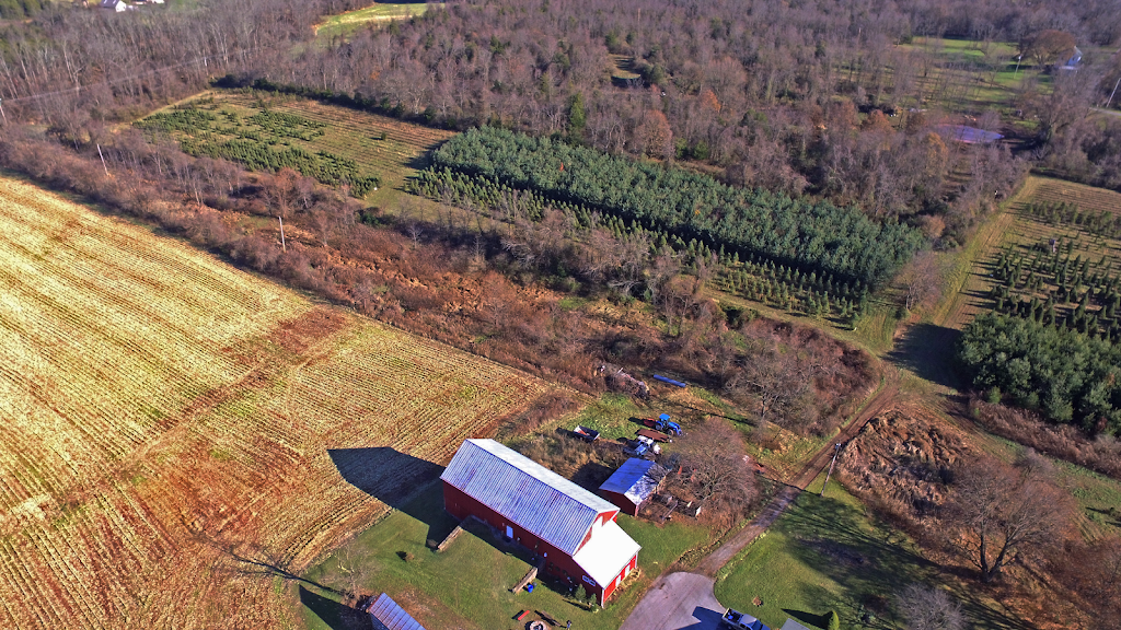 3Gs Tree Farm | 1991 George St, Dover, PA 17315, USA | Phone: (717) 308-1261