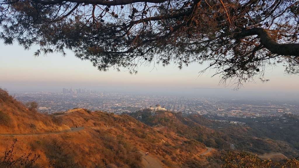 Griffith Parking Hiking Trail 1 | Mineral Wells Rd, Los Angeles, CA 90027, USA