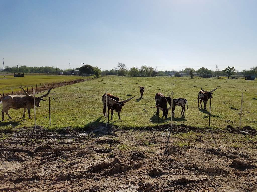 American Cowboy Museum | 11822 Almeda Rd, Houston, TX 77045 | Phone: (713) 478-9677