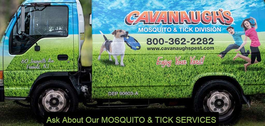 Cavanaughs Termite & Pest Services, Inc. | 196 US-206, Flanders, NJ 07836, USA | Phone: (973) 584-2552