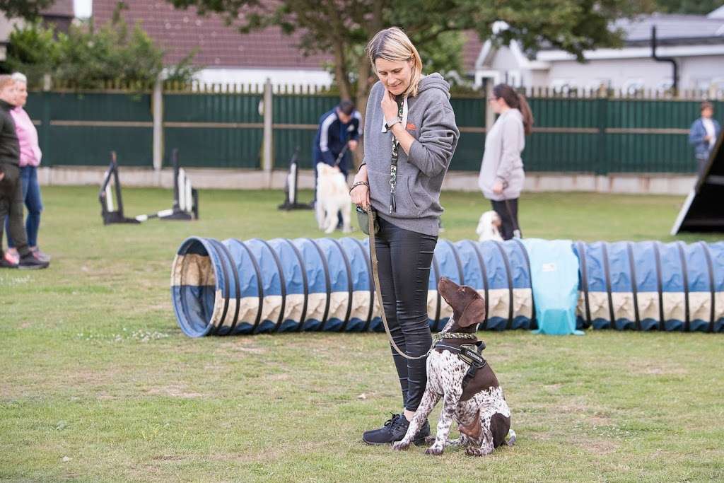 Barehams Boarding & Daycare Centre | Old Kennel Farm, Brentwood Rd, Orsett, Grays RM16 3DR, UK | Phone: 01375 891421