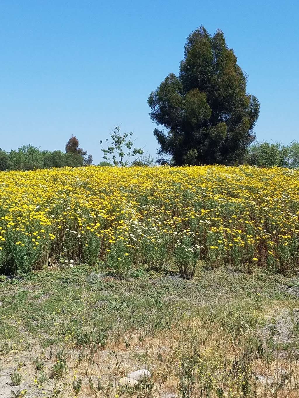 Sweetwater Regional Park | 5102 Sweetwater Rd, Bonita, CA 91902, USA