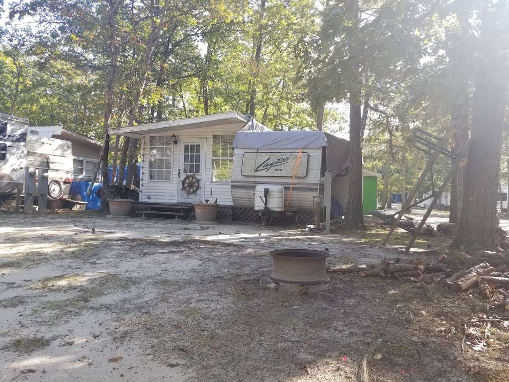 Green Holly Campground | 335 Swainton Goshen Rd, Cape May Court House, NJ 08210 | Phone: (609) 465-9602