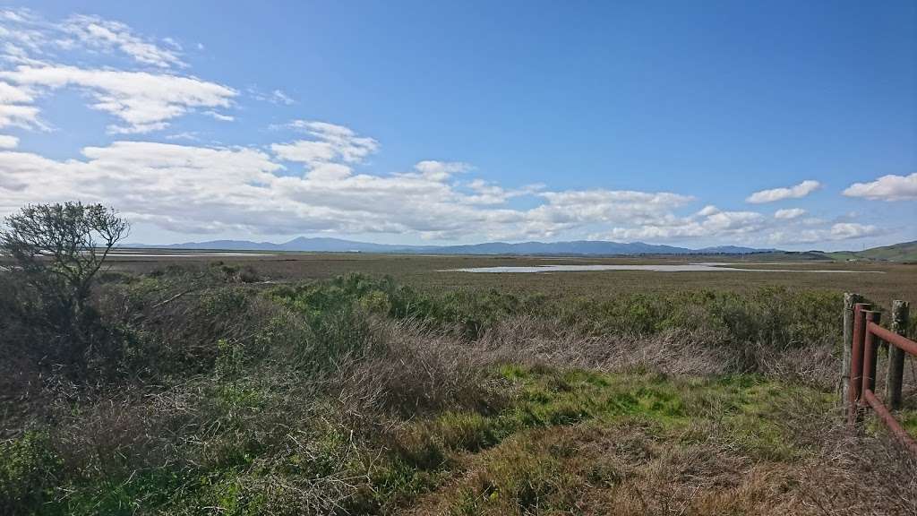 wildlife viewing | 5000 Sears Point Rd, Sonoma, CA 95476, USA