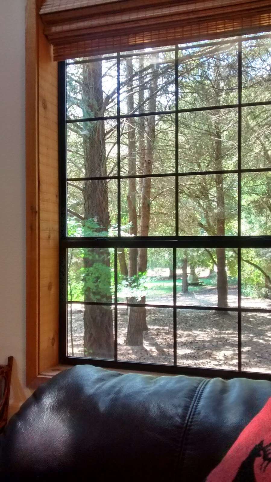 WineBerry Lodge | 3025 Gravenstein Hwy N, Sebastopol, CA 95472, USA | Phone: (707) 529-2000