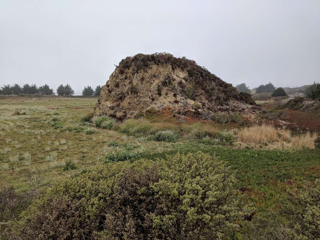 Birdwalk Coastal Access Trail | 355 CA-1, Bodega Bay, CA 94923, USA | Phone: (707) 875-3540