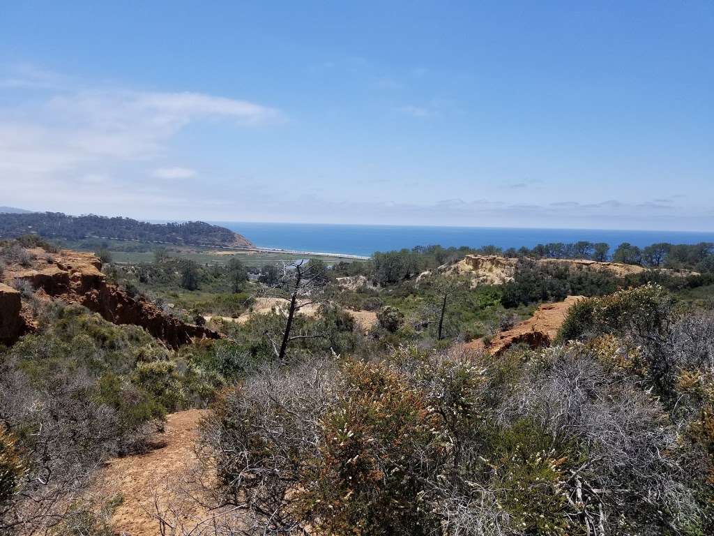 Torrey Pines Extension | Del Mar Heights, Del Mar, CA 92014, USA