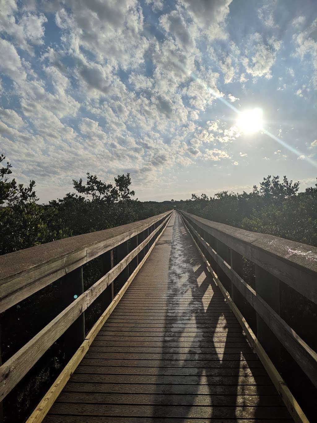 Ponce Inlet Preserve | Ponce Inlet, FL 32127, USA